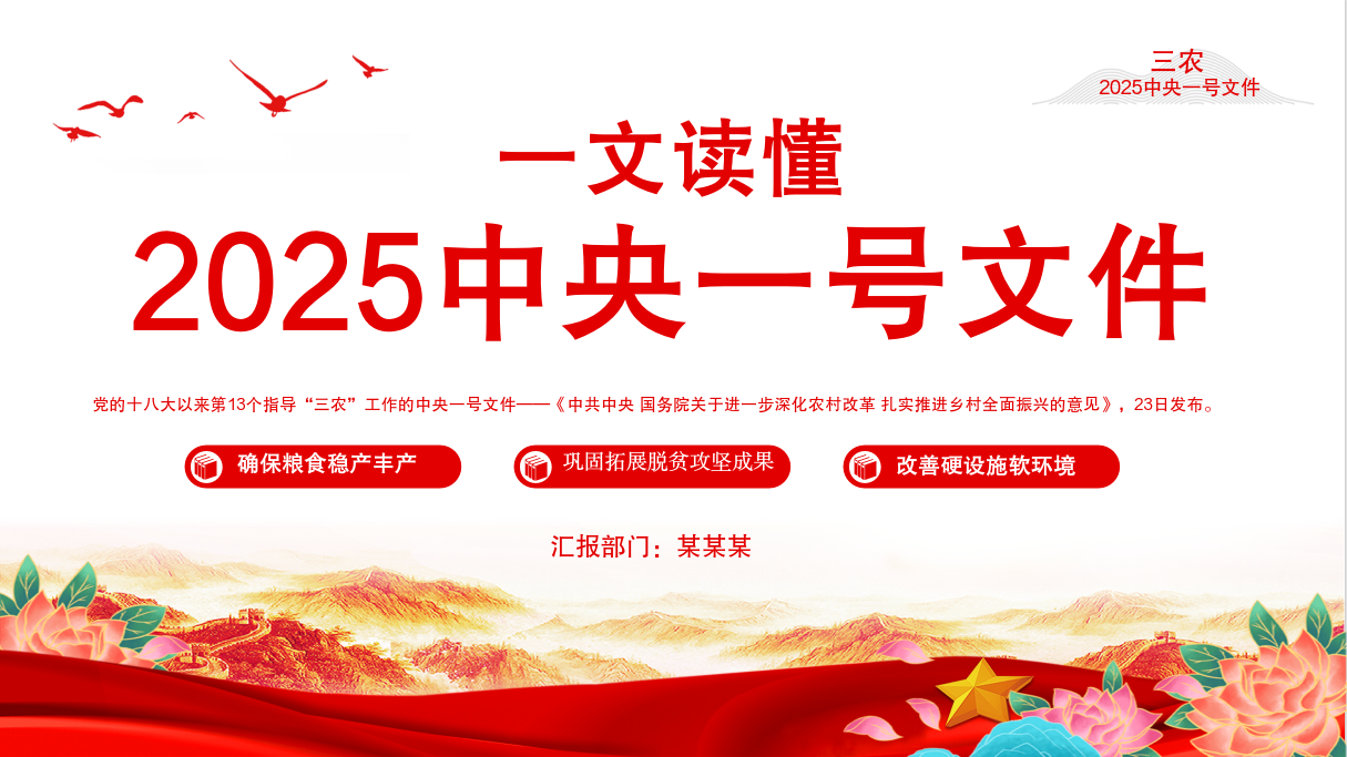 读懂2025中央一号ppt课件